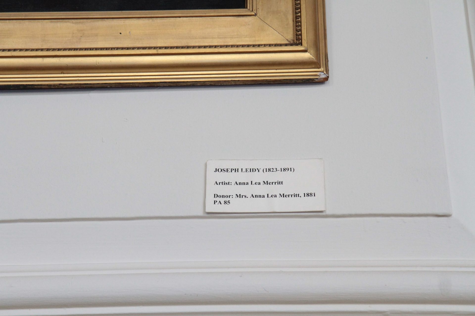 Joseph Leidy's portrait, College of Physicians of Philadelphia (2).JPG